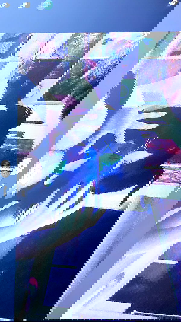 pimpdaddyextreme pimpdaddyextreme archive image