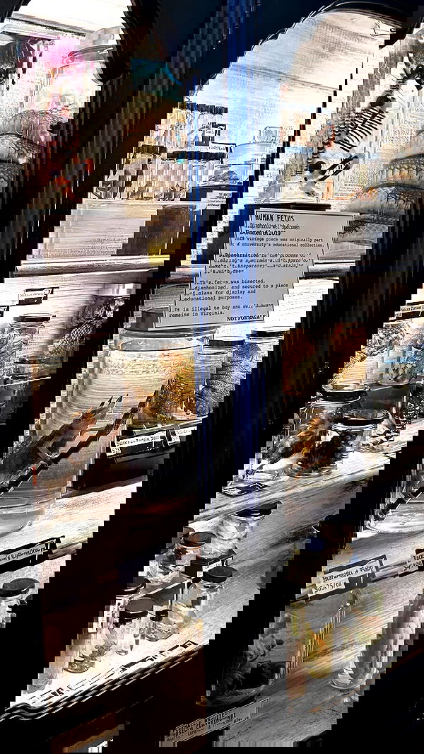 pimpdaddyextreme pimpdaddyextreme archive image