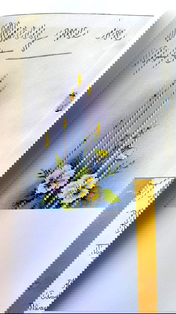 pimpdaddyextreme pimpdaddyextreme archive image