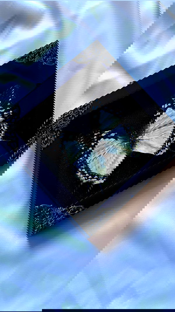 pimpdaddyextreme pimpdaddyextreme archive image