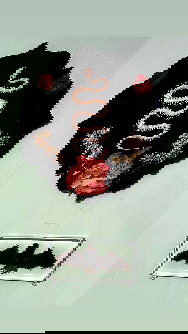 pimpdaddyextreme pimpdaddyextreme archive image