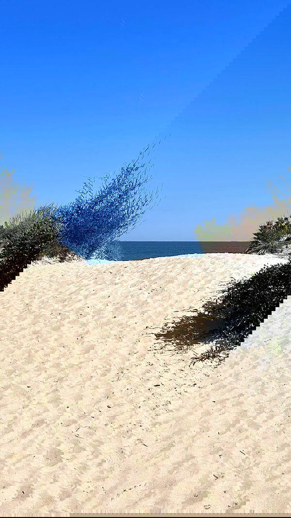 pimpdaddyextreme pimpdaddyextreme archive image