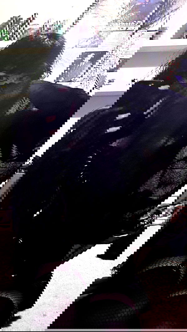 pimpdaddyextreme pimpdaddyextreme archive image