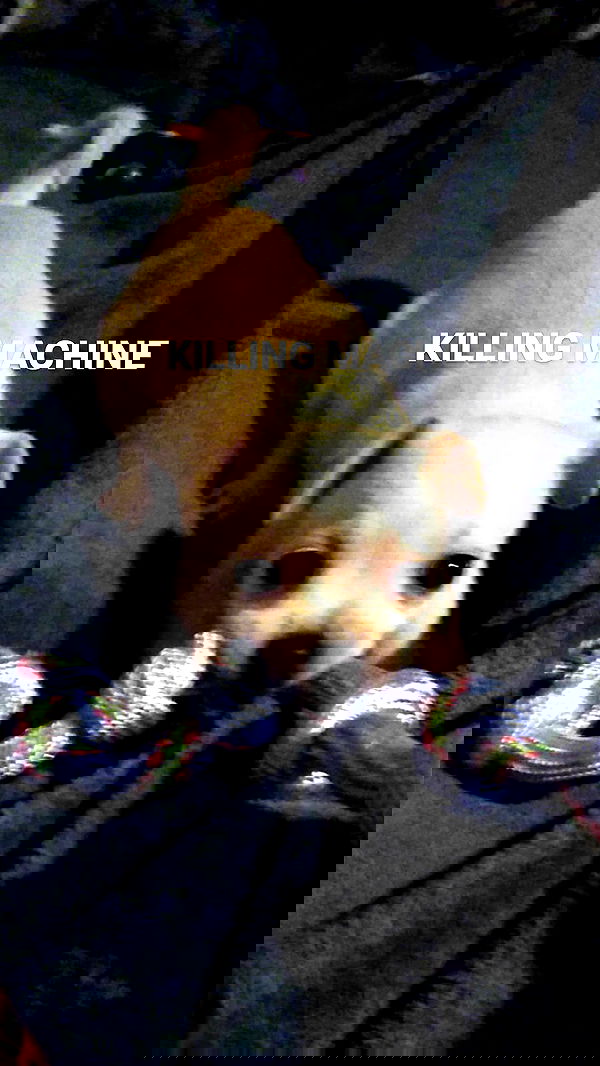 pinchchicken pinchchicken archive image