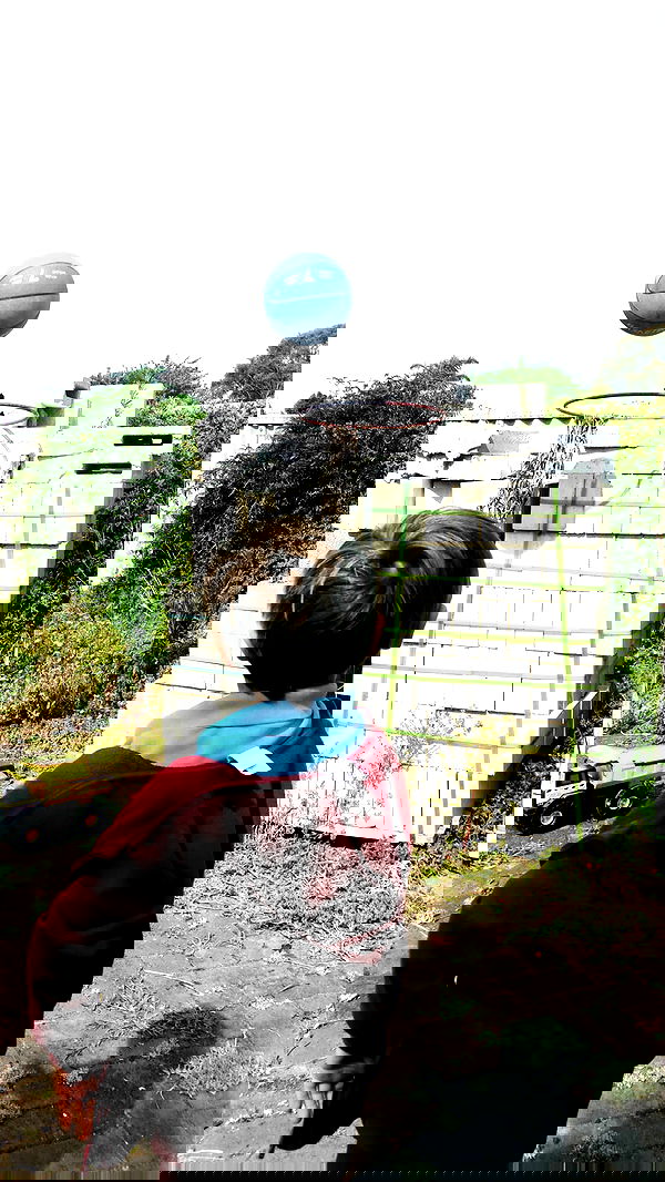 piper.jaylen piper.jaylen archive image