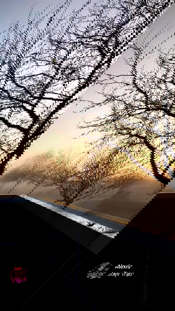 piper.jaylen piper.jaylen archive image