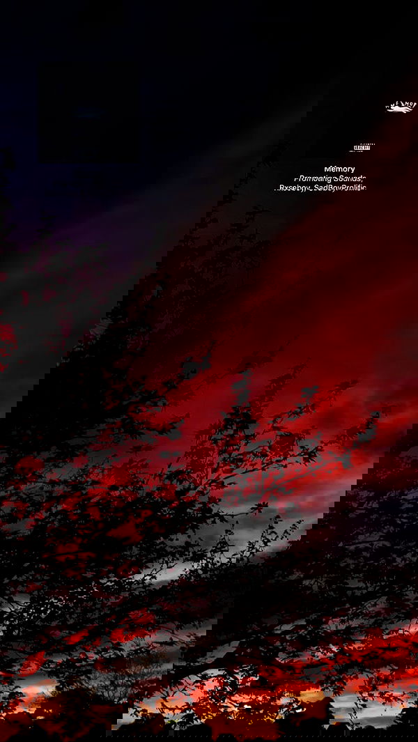 piper.jaylen piper.jaylen archive image