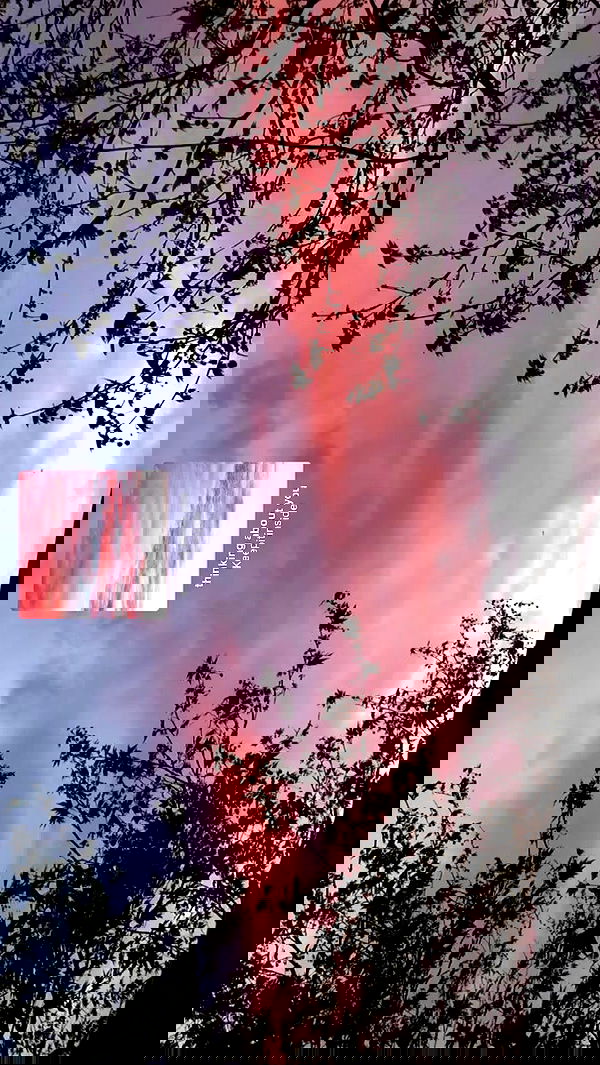 piper.jaylen piper.jaylen archive image