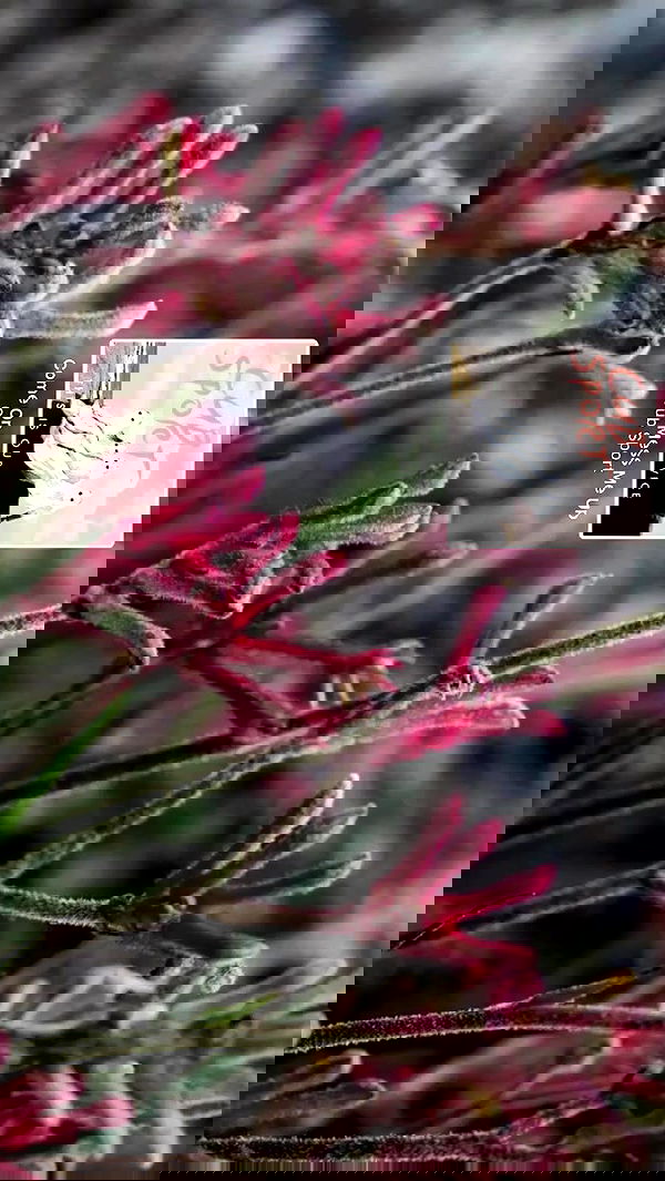 piper.jaylen piper.jaylen archive image