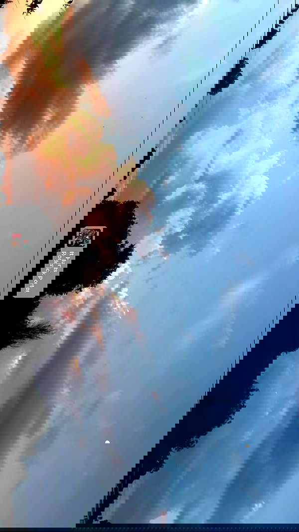 piper.jaylen piper.jaylen archive image