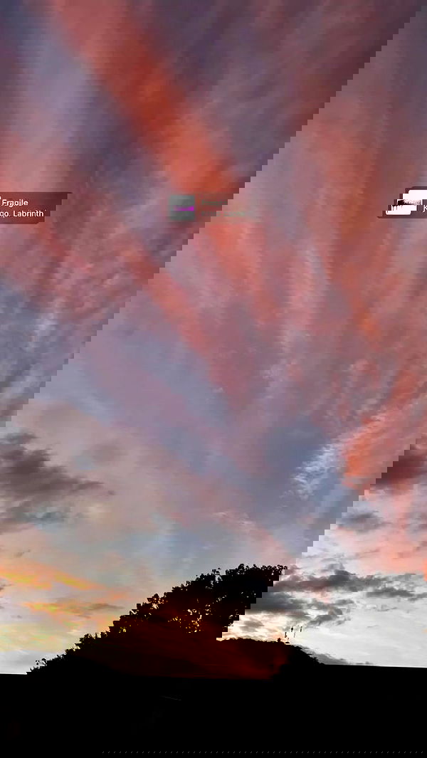 piper.jaylen piper.jaylen archive image