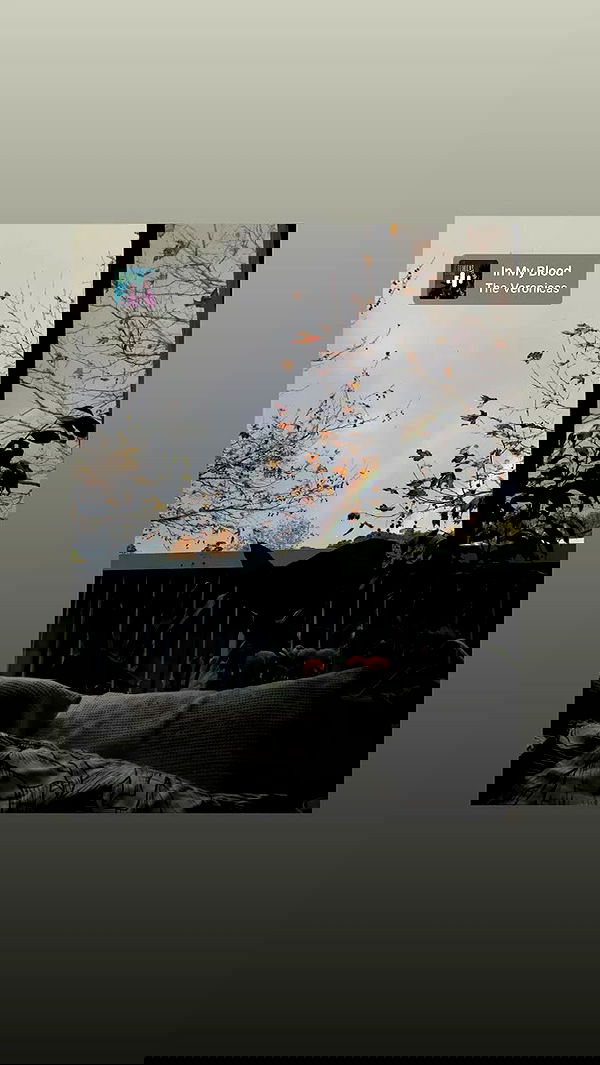 piper.jaylen piper.jaylen archive image