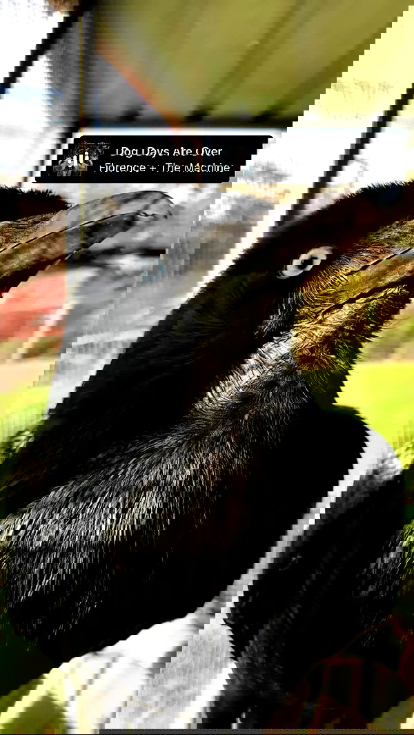 piper.jaylen piper.jaylen archive image