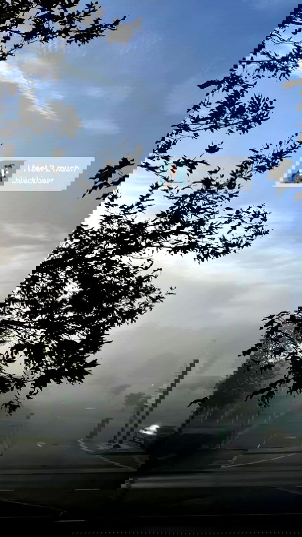 piper.jaylen piper.jaylen archive image