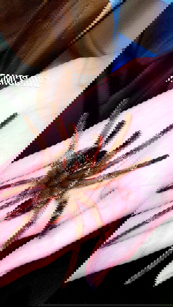 piper.jaylen piper.jaylen archive image