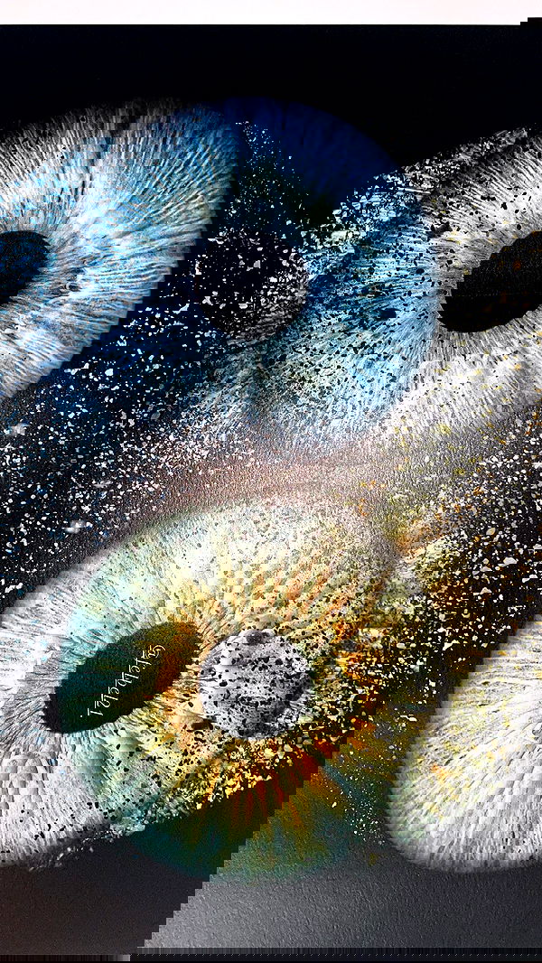 piper.jaylen piper.jaylen archive image