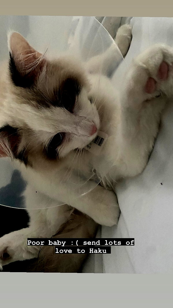 pixieonyxx instagram image archive image