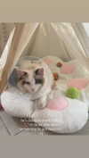 pixieonyxx Altpins Profile Picture