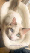 pixieonyxx Altpins Profile Picture
