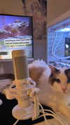 pixieonyxx Altpins Profile Picture