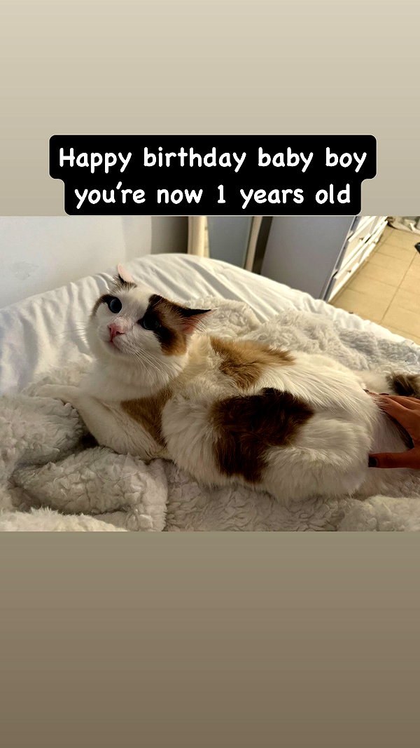 pixieonyxx instagram image archive image