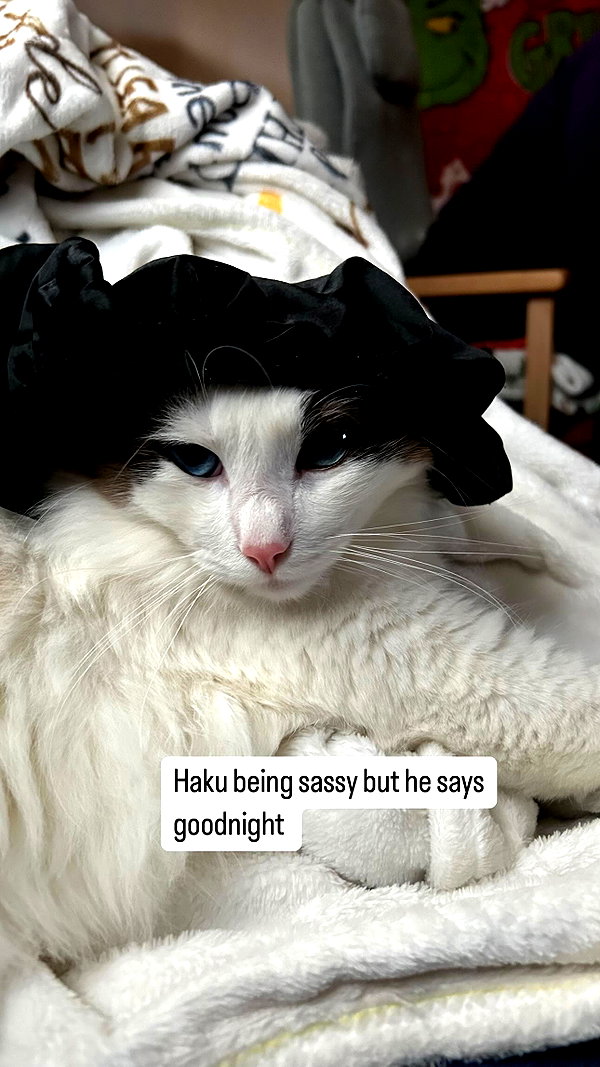 pixieonyxx instagram image archive image