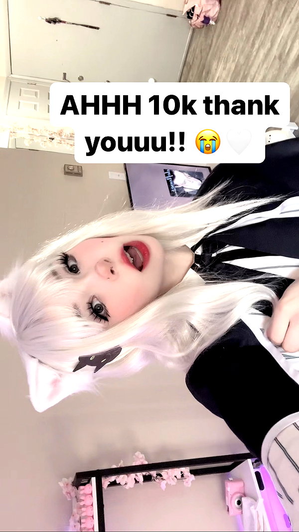 pockycatt instagram image archive image