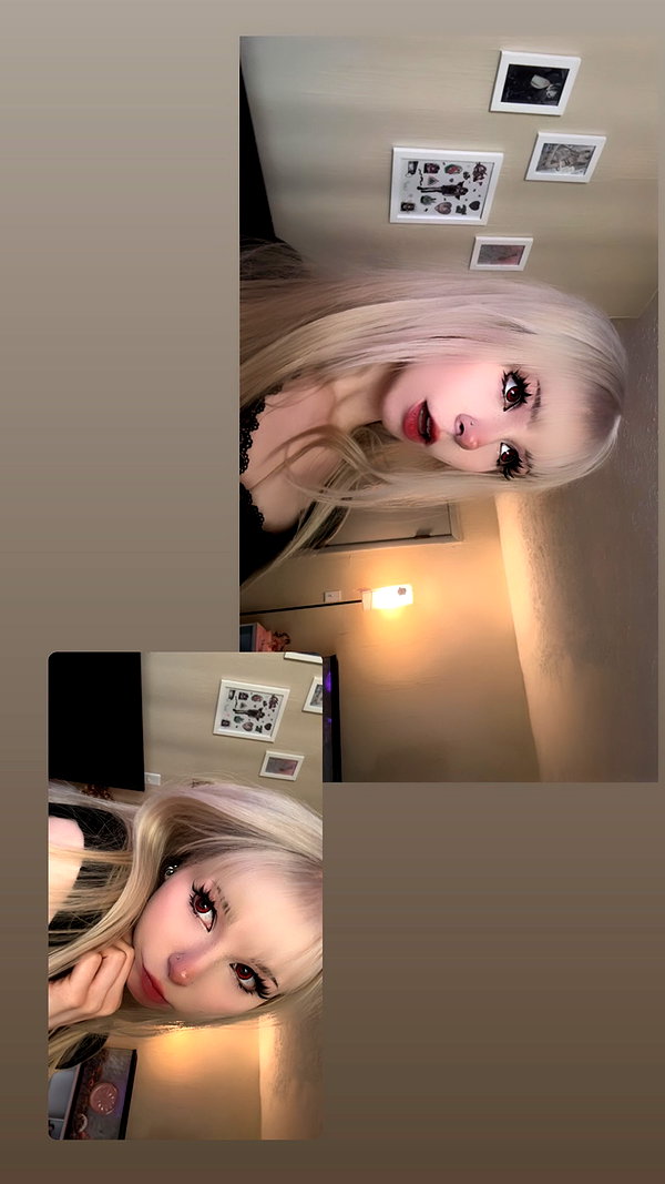 pockycatt instagram image archive image