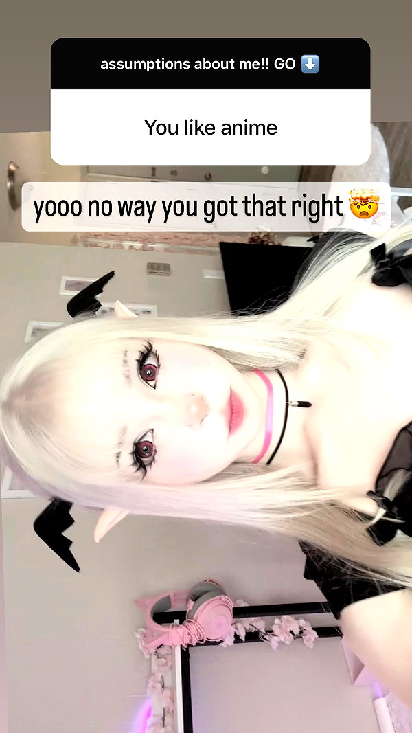 pockycatt instagram image archive image