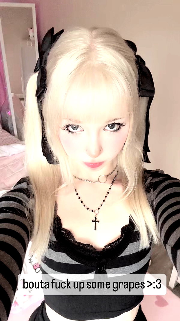 pockycatt instagram image archive image