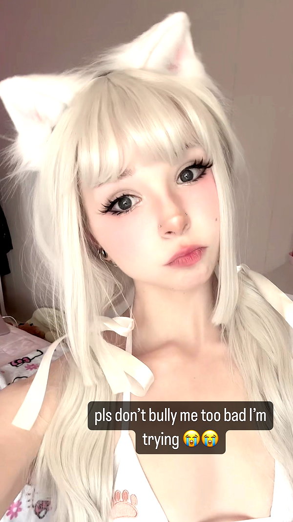 pockycatt instagram image archive image