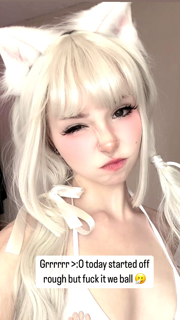 pockycatt instagram image archive image