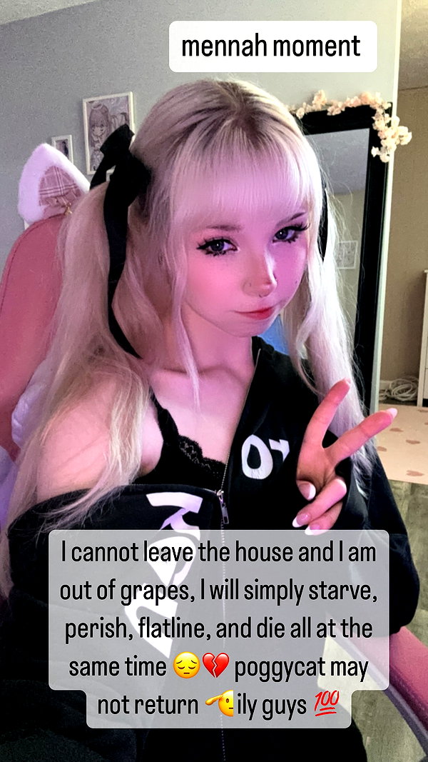 pockycatt instagram image archive image