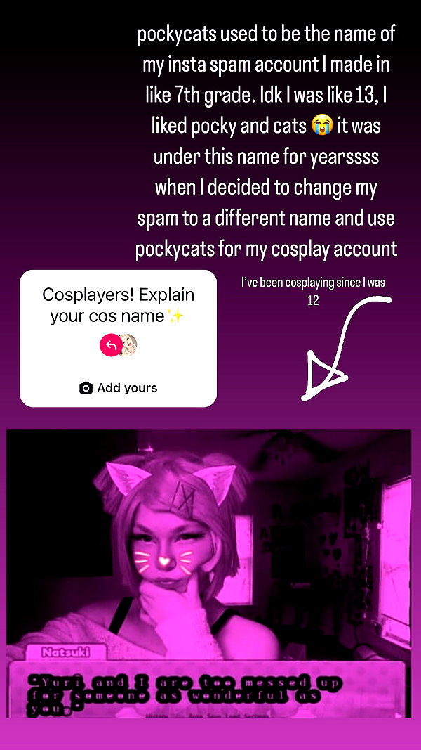 pockycatt pockycatt archive image
