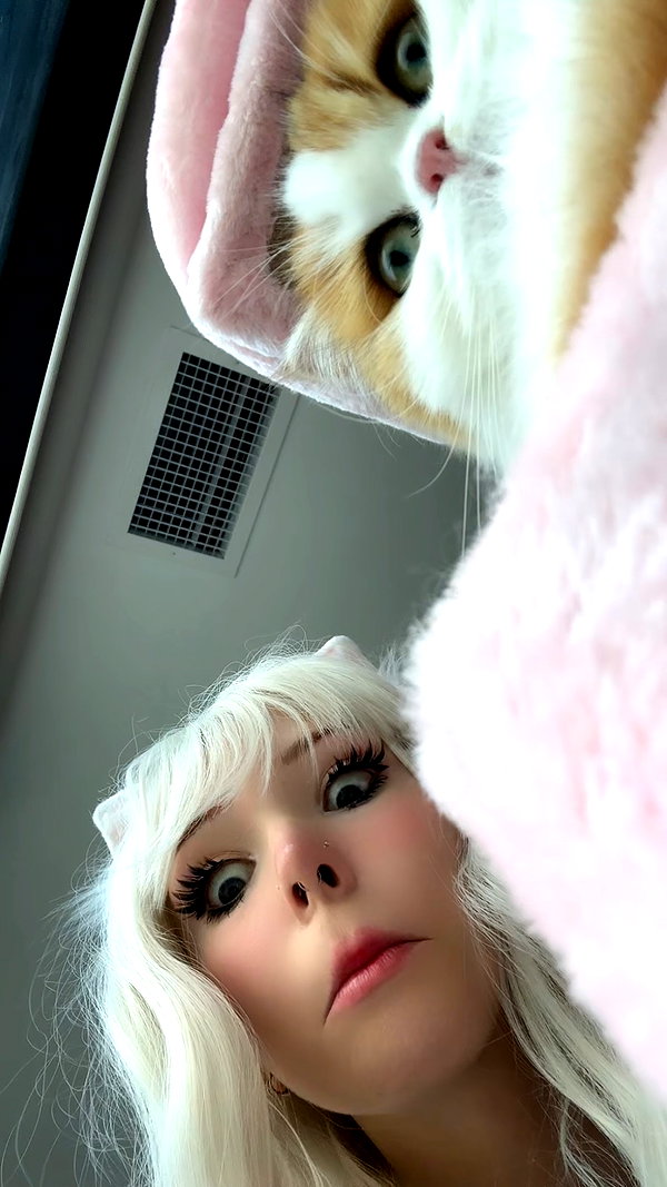 pockycatt pockycatt archive image