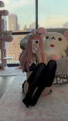 pockycatt Altpins Profile Picture