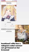 pockycatt Altpins Profile Picture