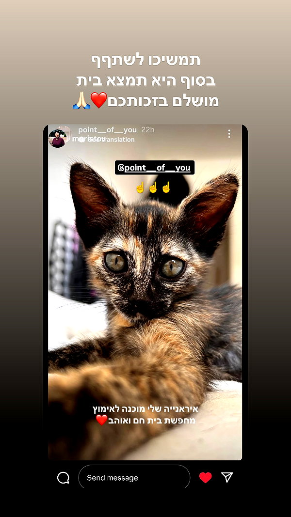 point___of___you instagram image archive image