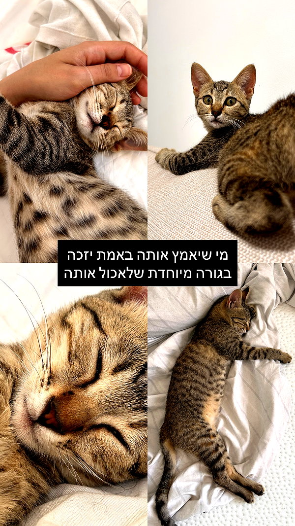 point___of___you instagram image archive image