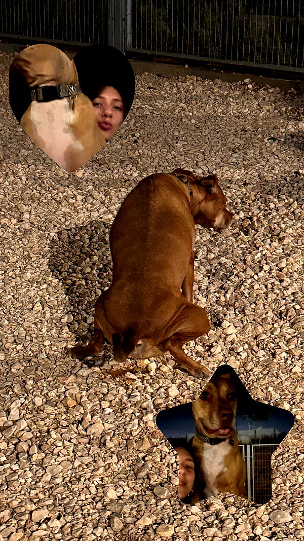 point___of___you instagram image archive image