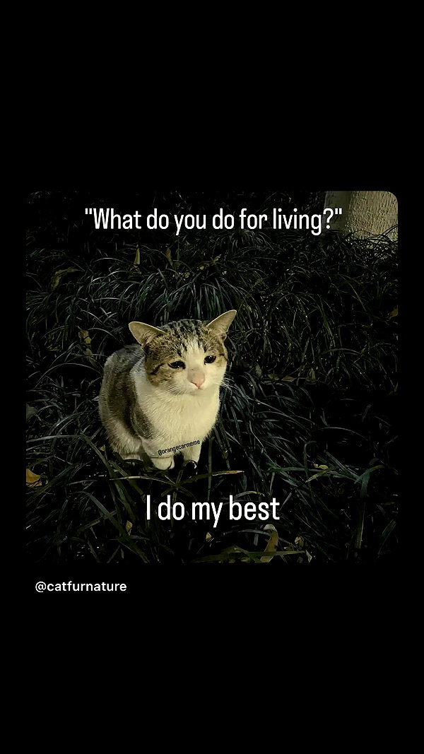 point___of___you instagram image archive image