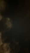 point___of___you Altpins Profile Picture