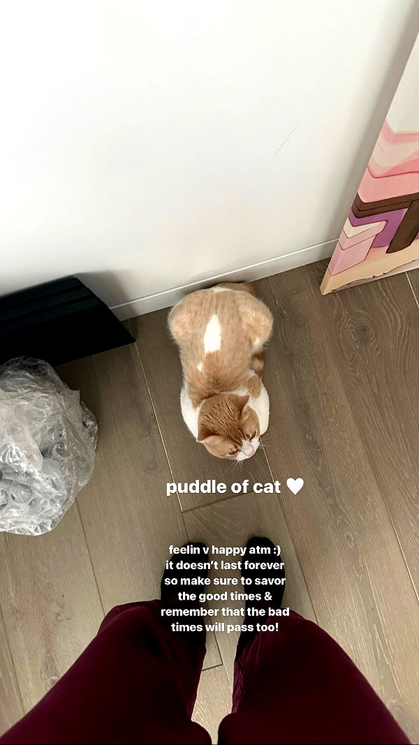 pokimanelol instagram image archive image