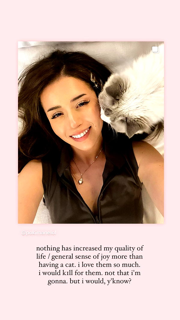 pokimanelol instagram image archive image