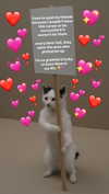 pokimanelol Altpins Profile Picture