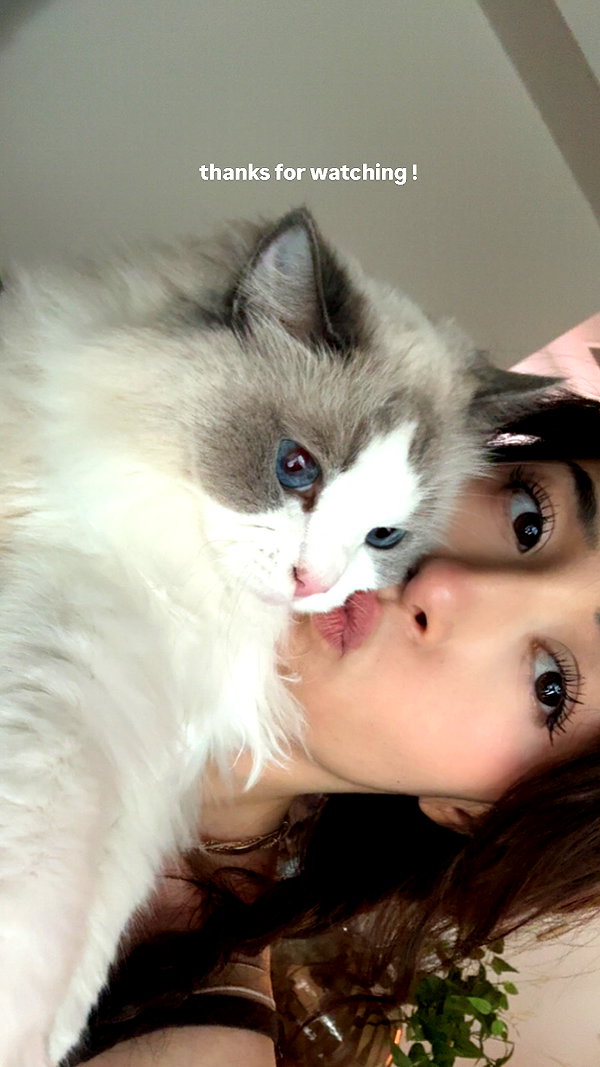 pokimanelol instagram image archive image