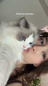 pokimanelol Altpins Profile Picture