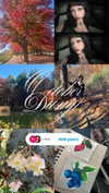 porcelainpixi Altpins Profile Picture