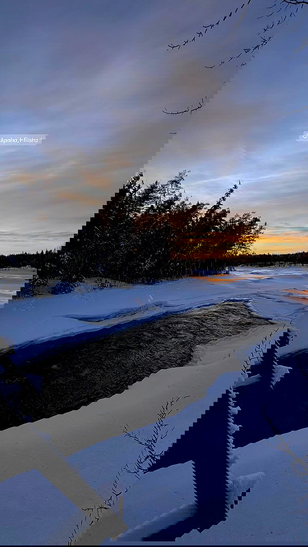 pr1nc3ssn0a pr1nc3ssn0a archive image