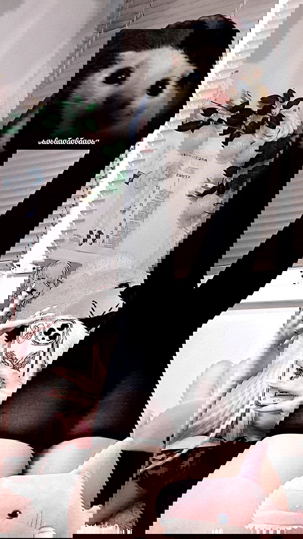 purrrik purrrik archive image